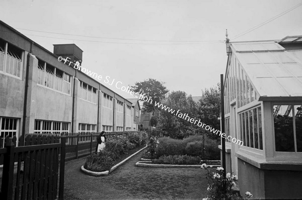 MILL FROM GARDEN